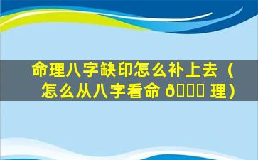 命理八字缺印怎么补上去（怎么从八字看命 🐕 理）